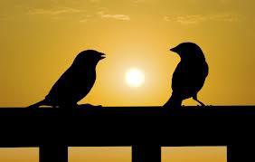 Файл:Birdsong 4.jpg