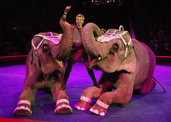 Файл:Фото к статье Дрессировка 5.jpeg