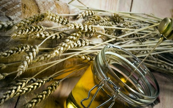 Фото к статье Масло зародышей пшеницы в косметике 2.jpg