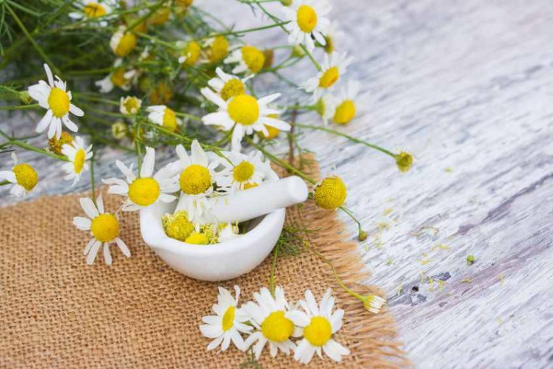 Файл:Photo fotoknips.jpg