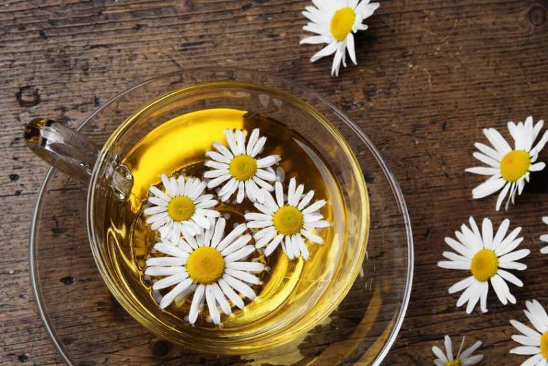 Файл:Photo Vera Kuttelvaserova Stuchelova.jpg