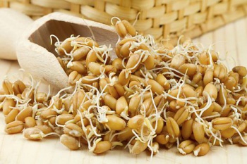 Фото к статье Масло зародышей пшеницы в косметике 3.jpg
