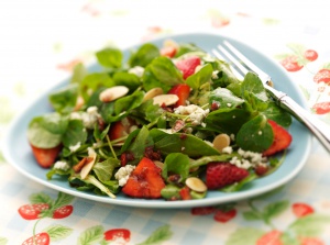 Nedost-salad.jpg