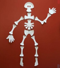 Skelet.jpg