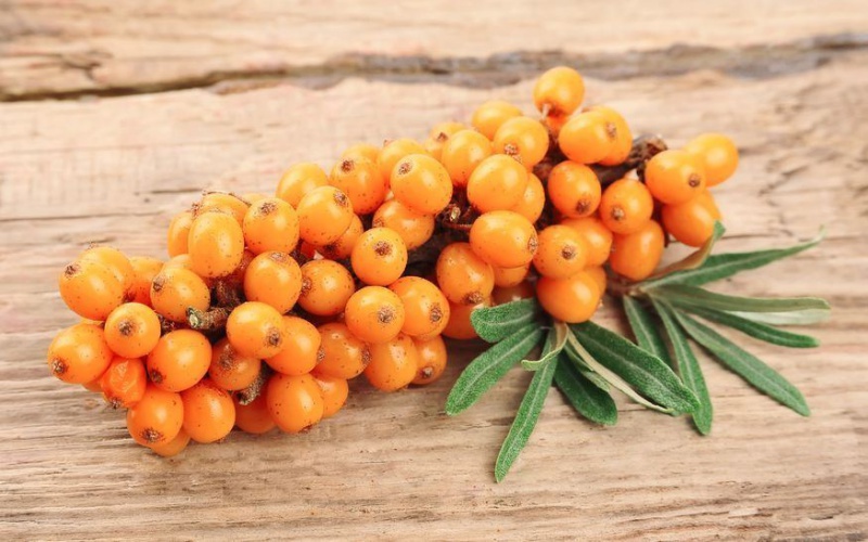 Файл:99Maria Volosina.jpg