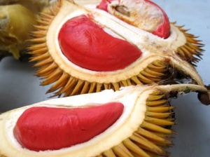 Durian6.jpg